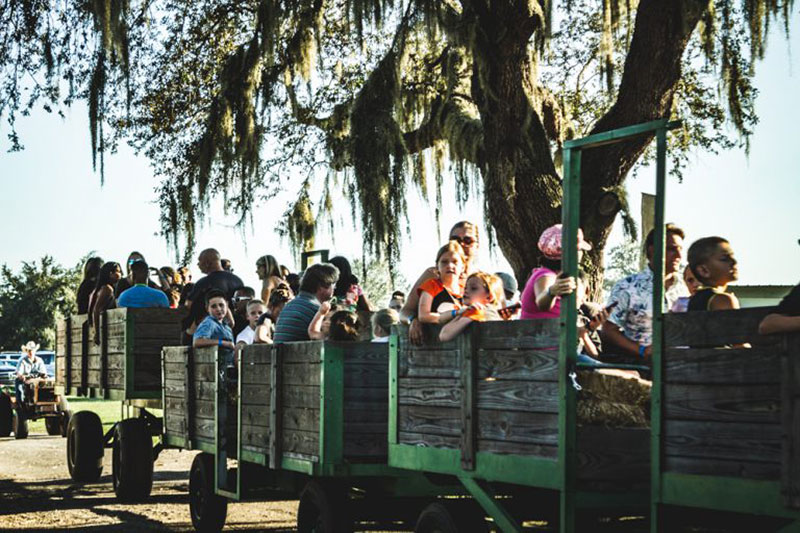 families riding the hay ride at Harvest Holler Corn Maze and Pumpkin Patch