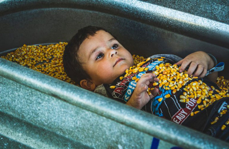 young boy playing in the corn bins at Harvest Holler Corn Maze and Pumpkin Patch