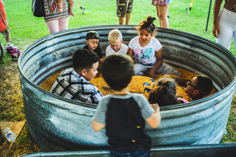 kids amusement playing in a feed trough full of dried corn at Harvest Holler Corn Maze and Pumpkin Patch