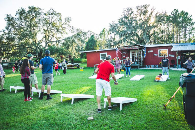 Families playing corn hole at Harvest Holler Corn Maze and Pumpkin Patch