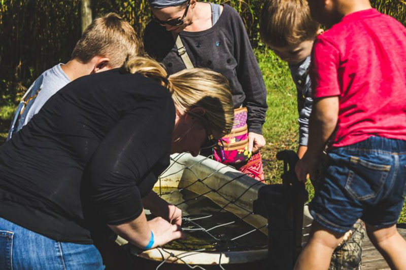 mother and kids playing in the minnow tank at Harvest Holler Corn Maze and Pumpkin Patch